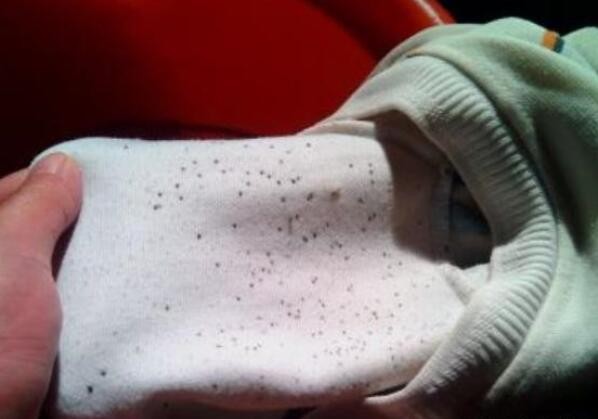 棉袄上的霉斑怎么去掉