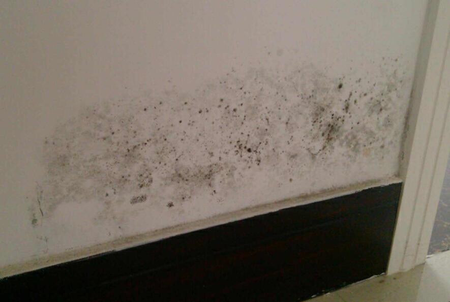 墻壁发霉的原因是什么