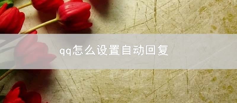 qq怎么设置自动回复
