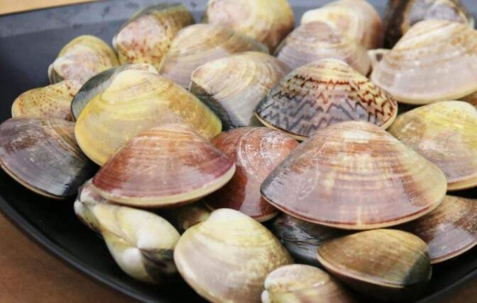 花甲怎么保存过夜