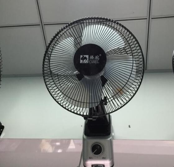 电风扇有哪些类型