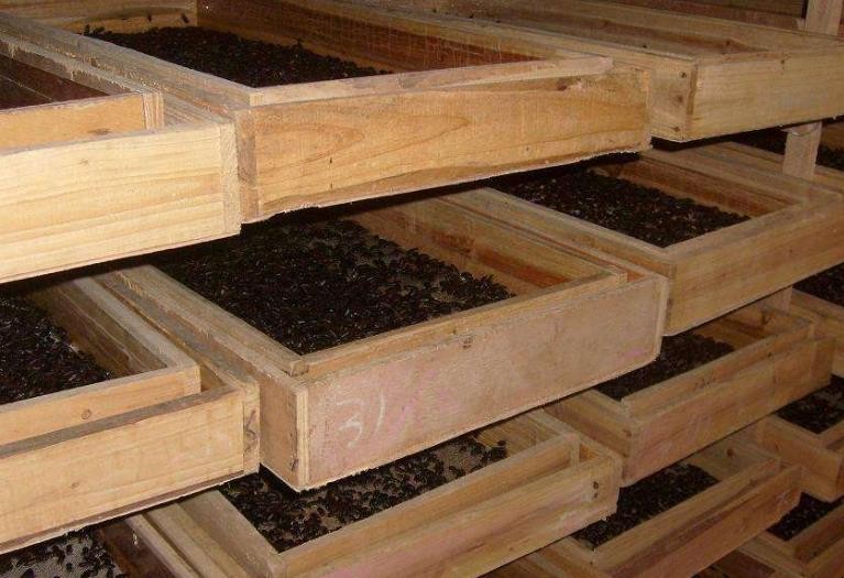 芦花板真的无甲醛吗 芦花板真的无甲醛吗