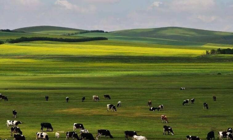 中国四大草原分别是什么 中国四大草原分别是什么