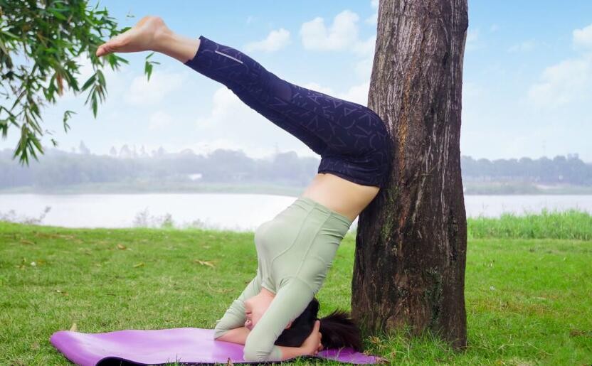 瑜伽裤怎么选购 瑜伽裤怎么选购