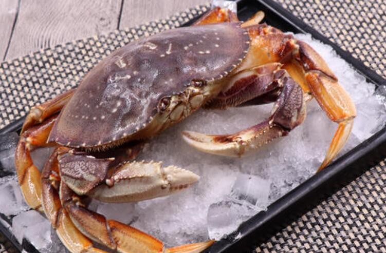 螃蟹冷藏后怎么判断死活 螃蟹冷藏后怎么判断死活