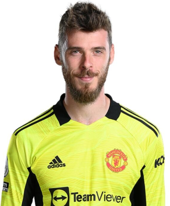 大卫·德赫亚 荷鸭 范德赫亚 David de Gea