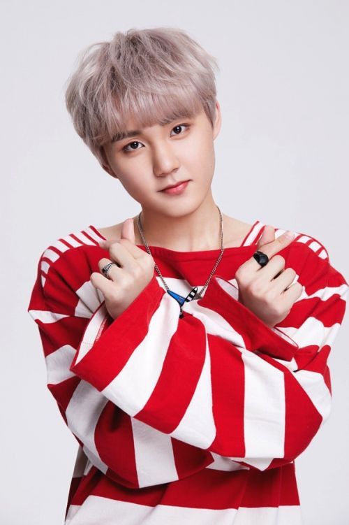 李权哲 小仓鼠 Lee QZ Carl