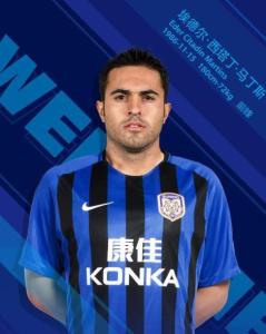 埃德尔·西塔丁·马丁斯 É der Citadin Martins