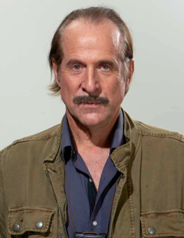 彼得·斯特曼 Peter Ingvar Rolf Storm Peter Stormare