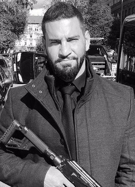 大卫·约翰逊·伍德 David Johnson Wood