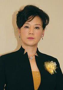 贾雨岚 Yulan Jia  贾玉 贾玉兰 雨岚