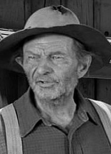 威廉·福西特 William Fawcett William Fawcett Thomas  Doc T