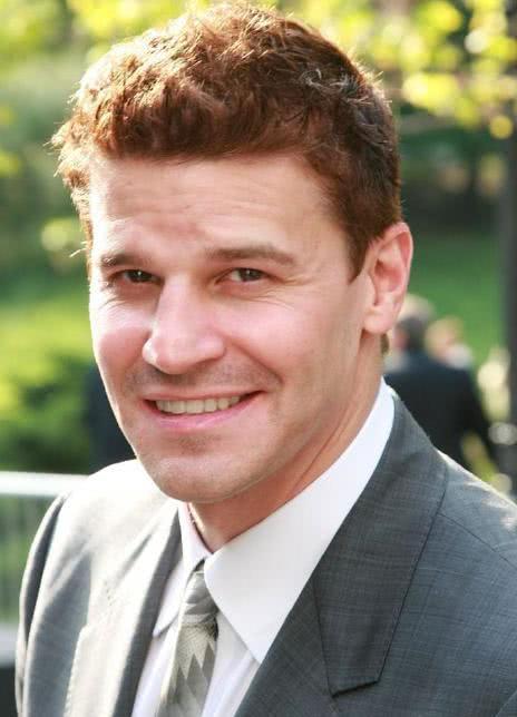 大卫·伯伦纳兹 David Boreanaz David Patrick Boreanaz  Dave