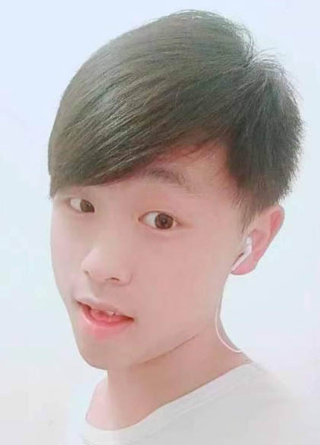 李龙国强 Li Guoqiang 李国强本名 小强 李龙国强 Li Guoqiang 李国强本名 小强