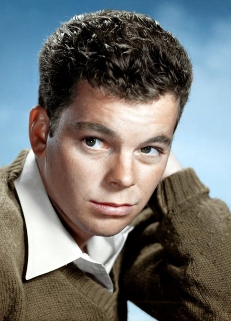 鲁斯·谭柏林 Russ Tamblyn Russell Irving Tamblyn