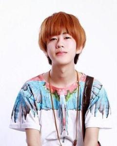 陈萝莉 陈文韬 求生的荔枝萝 Metrololi