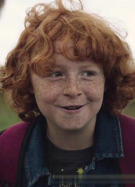 加文·麦基弗·赖特 Gavin MacIver-Wright