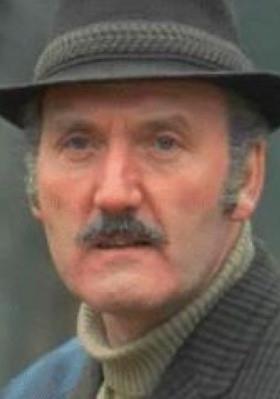 大卫·洛奇 David Lodge 大卫·洛奇